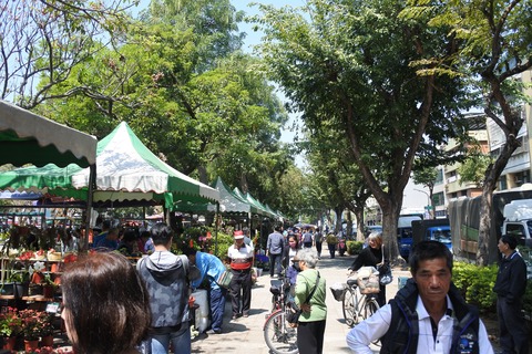 勞工公園假日花市