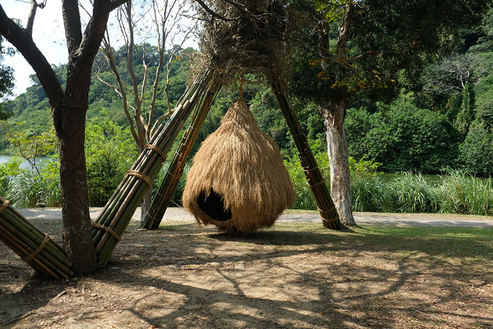 林舜龍、王昱翔「稻之蛹」