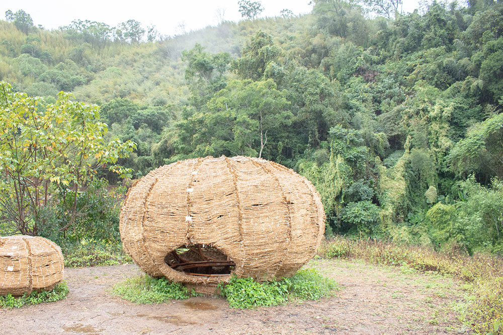 范承宗「茶窩」