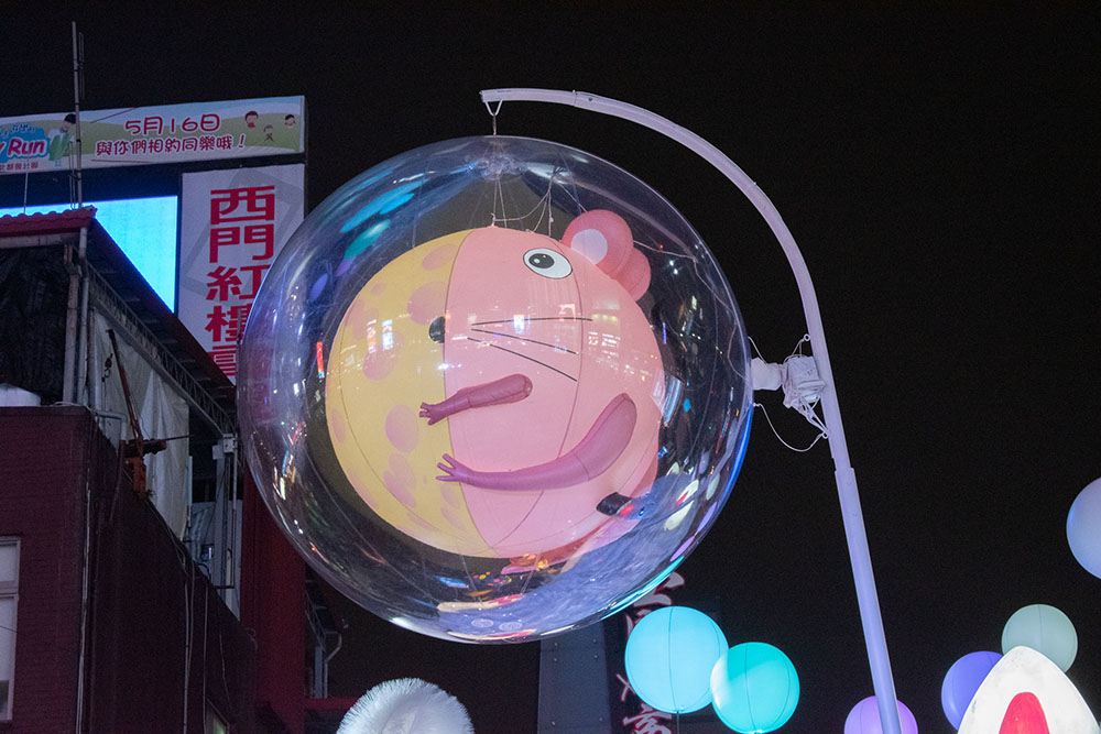 躲貓貓（猫とかくれんぼう）